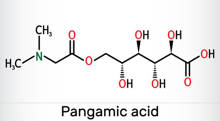 Canvas Print - Pangamic acid, pangamate molecule. It is vitamin B15, ester derived from gluconic acid and dimethylglycine. Skeletal chemical formula