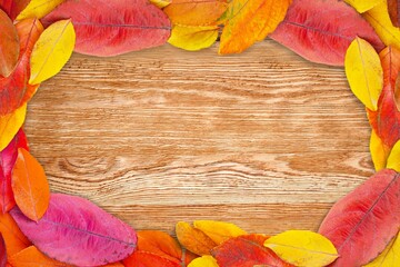 Wall Mural - Colorful fall leaves on wooden boards. Festive autumn background,