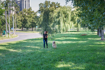 Wall Mural -  woman with her retriever in a summer park.