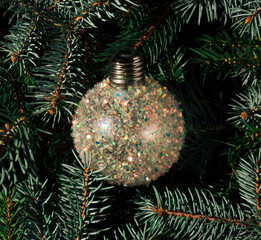 Wall Mural - Shiny Christmas bauble on evergreen tree branches creative layout. Christmas minimal background concept. Flat lay.