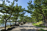 Fototapeta Na ścianę - 神奈川県横浜市金沢区の海の公園