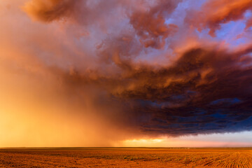 Wall Mural - Sunset sky and storm clouds over a field