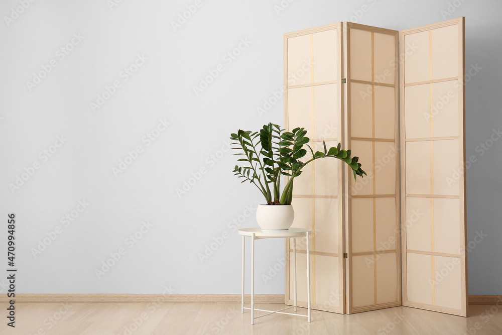 Stylish folding screen with houseplant in room interior on wall background