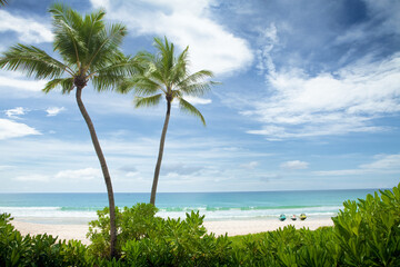 Wall Mural - View of nice tropical beach with some palms