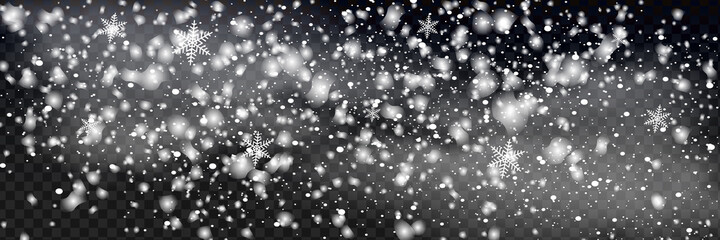 Wall Mural - Vector snowfall isolated. Winter background. Snow overlay illustration.