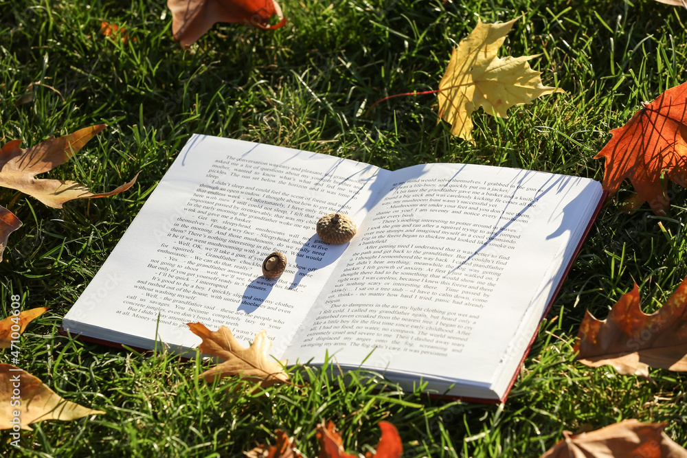 Opened book and acorns on grass with autumn leaves