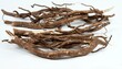 Roots of Siberian ginseng, Eleutherococcus senticosus, traditional herbal medicine.  Roots prepared for making tinctures and medicines on the white background.