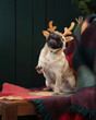 funny dog in Christmas horns. Pug by the fireplace in the new year interior. Holiday pet