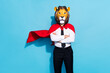 Photo of weird bizarre successful lion character guy cross hands red mantle air fly isolated over blue color background