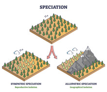 Speciation Process With Sympatric And Allopatric Division Outline Diagram. Labeled Educational Reproductive And Geographical Isolation Examples With Forest Trees Evolution Models Vector Illustration.
