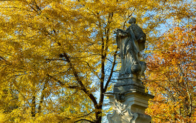 Wall Mural - Stanisław Staszic Municipal Park Statue