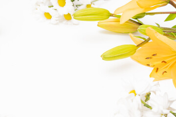 Wall Mural - frame with yellow lilies on white background