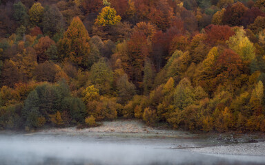 Wall Mural - the mountain autumn landscape with colorful forest