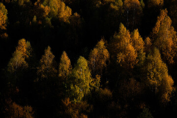 Wall Mural - the mountain autumn landscape with colorful forest