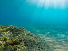Ionian Sea Underwater View, Gopro Shot 