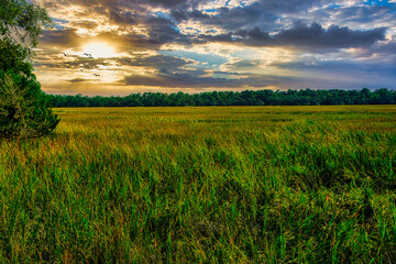 Poster - View Across Golden Marsh