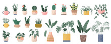 Trendy Collection Of Home Cute Plants And Succulents In Flowerpots Pack Icons. Set Of Houseplants And Cacti In Pots Modern Illustrations. Cozy Vector Decorative Elements In Flat Swiss Style.