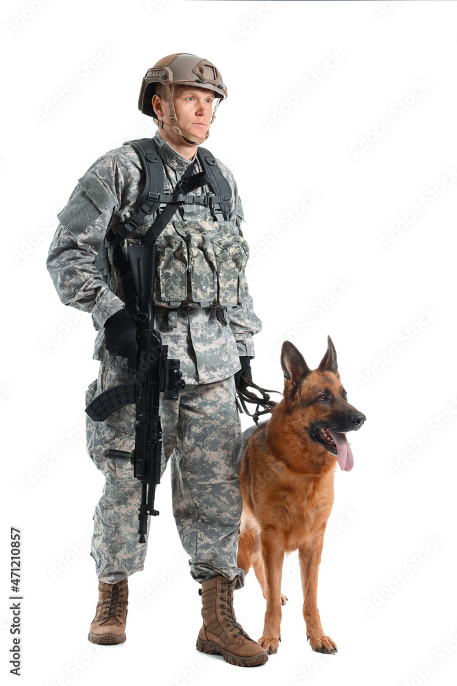 Soldier with military working dog on white background