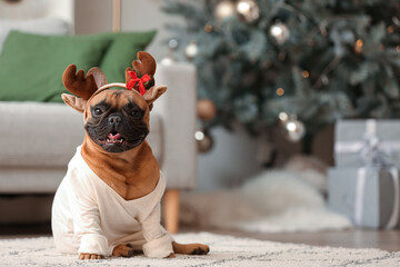 Canvas Print - Cute French bulldog wearing sweater and deer horns at home