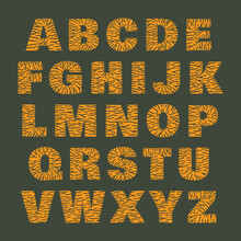 Tiger Alphabet Of Bold Orange Letters With Transparent Stripes