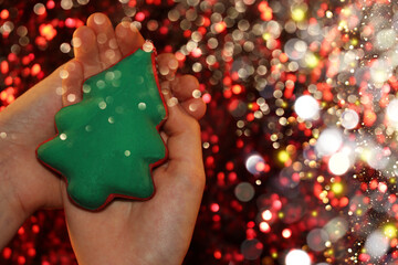 Wall Mural - beautiful green Christmas tree is lying on your hand on a shiny background