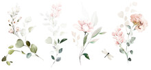 Set Watercolor Arrangements With Garden Roses. Collection Pink Flowers, Leaves, Branches. Botanic Illustration Isolated On White Background.
