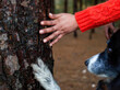 Woman and dog touching tree trunk