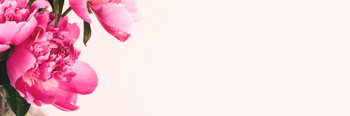 Wall Mural - Bouquet of pink peonies on pink background with copy space. Floral wide panoramic banner design. Selective focus