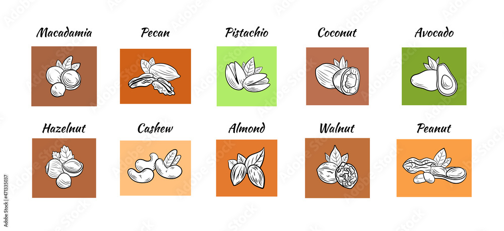 set of colorful nut illustration, black and white outline drawings on ...