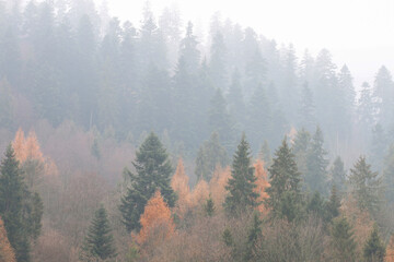 Canvas Print - Misty landscape in the morning.