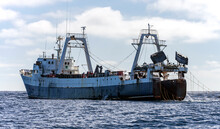 Large Fishing Trawler Is Fishing For Fish And Seafood In The Ocean.