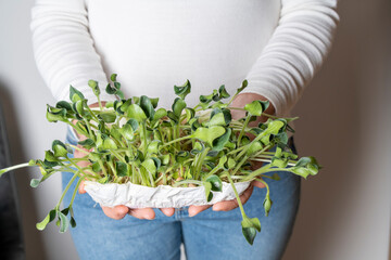 Wall Mural - proper nutrition, vegan, microgreens, harvesting microgreens grown at home