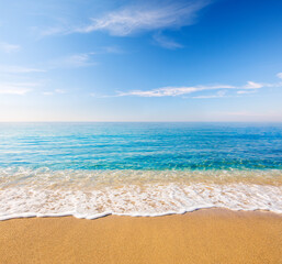Wall Mural - beautiful beach and tropical sea