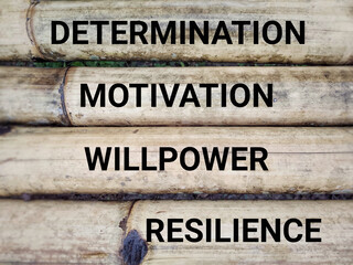 Wall Mural - Inspirational and motivational text of determination motivation willpower resilience. Stock photo.