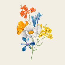 Vintage Spring Flower Vector Illustration, Remixed From Public Domain Artworks