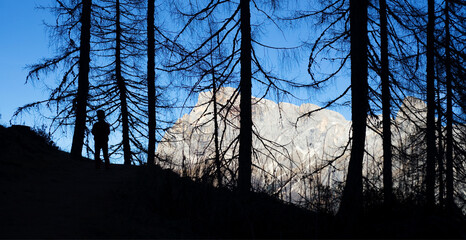 Wall Mural - A boy walking in the nature of dolomites
