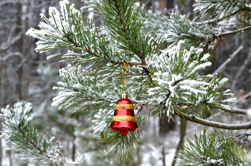 Christmas tree toy on a natural branch with pine tree needles on the snow background in forest.  Concept of Christmas, New Year and winter Xmas holidays, background, texture