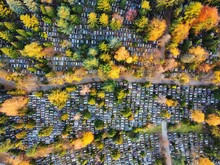 Cemetery In Autumn - Drone Shot