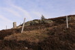 © Pixel62 - Blick auf die Hochheide kurz unterhalb des Belchengipfels im Schwarzwald