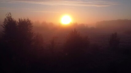 Poster - Bright misty morning in the countryside. Flying over the foggy meadow with rising sun on the background