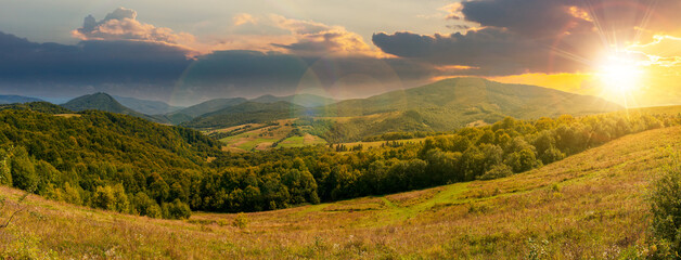 Wall Mural - carpathian countryside in september at sunset. beautiful mountain landscape with grassy field on rol