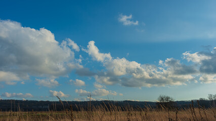 Wall Mural - Silhouettes of dry grass on a background of dark hills and white