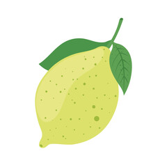 Poster - lemon fruit citric