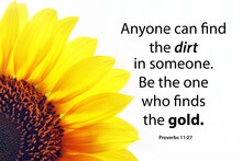 Proverb 11.27 Inspirational Quote - Anyone Can Find The Dirt In Someone. Be The One Who Finds The Gold. With Half Yellow Sunflower Petals On White Background. Words Of Wisdom Concept.