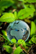 Earth day and world environment day. Green planet concept. World globe crystal glass surrounding by green leaf.