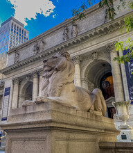 Fortitude New York City Library