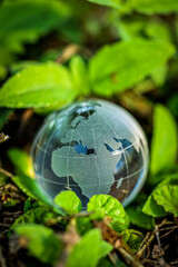 Earth day and world environment day. Green planet concept. World globe crystal glass surrounding by green leaf.