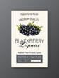 Blackberry liqueur alcohol label template Modern vector packaging design layout Isolated
