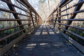 wooden bridge in the park