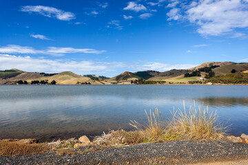 Wall Mural - The Otago Peninsula near Dunedin in New Zealand